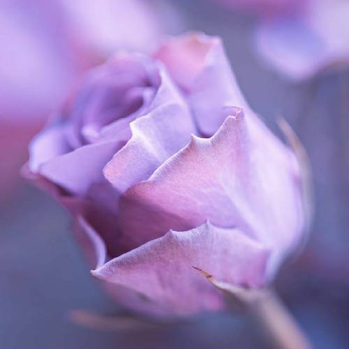  چیزی فرق نکرده ولی الله کریمه هنو خورشید میاد سلام میده میره